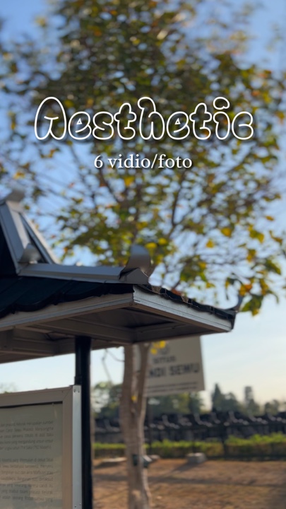 6 vidio Aesthetic