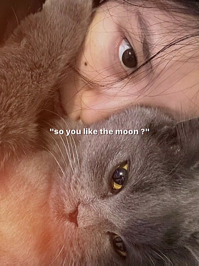 Nein, ich mag MEINEN MOND