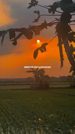 Adakah kenyamanan