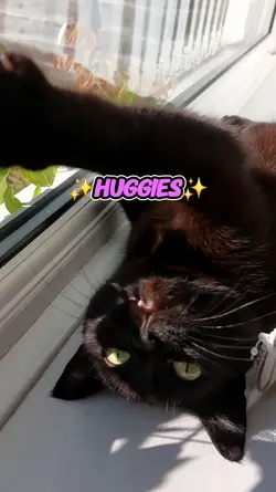 HUGGIE WAGGIES