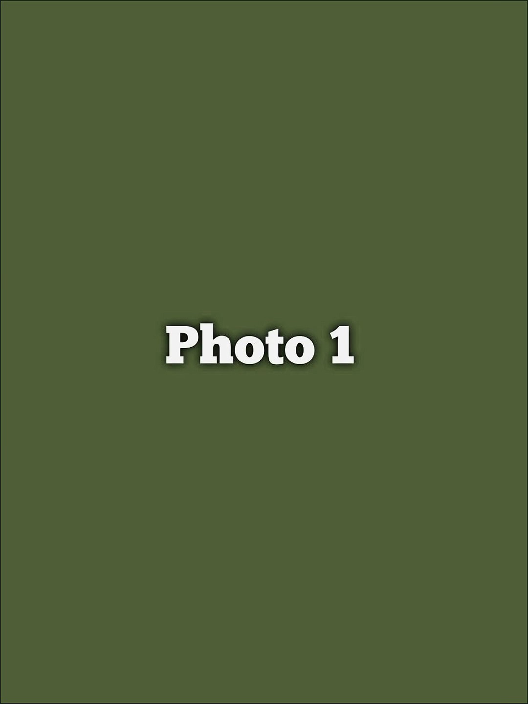 USA PRO TEMPLATE 