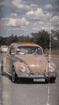 Vintage Vibes video
