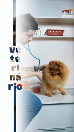 VETERINÁRIO V19