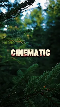 CINEMATIC VLOG