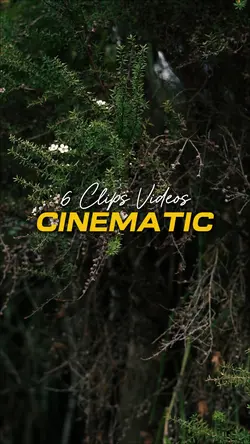 Cinematic 6 Videos
