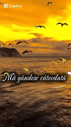 Mă gândesc câteodată