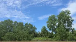 kampung halaman