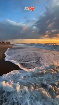 Yeni Şablon