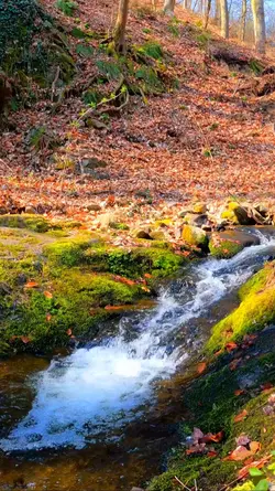 Ela já superou dores