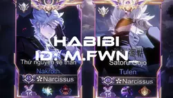 HABIBI