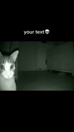KUCING HOROR LOL