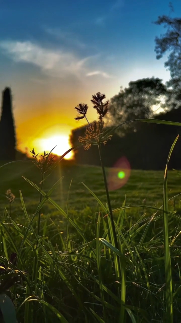 sad song nature hd