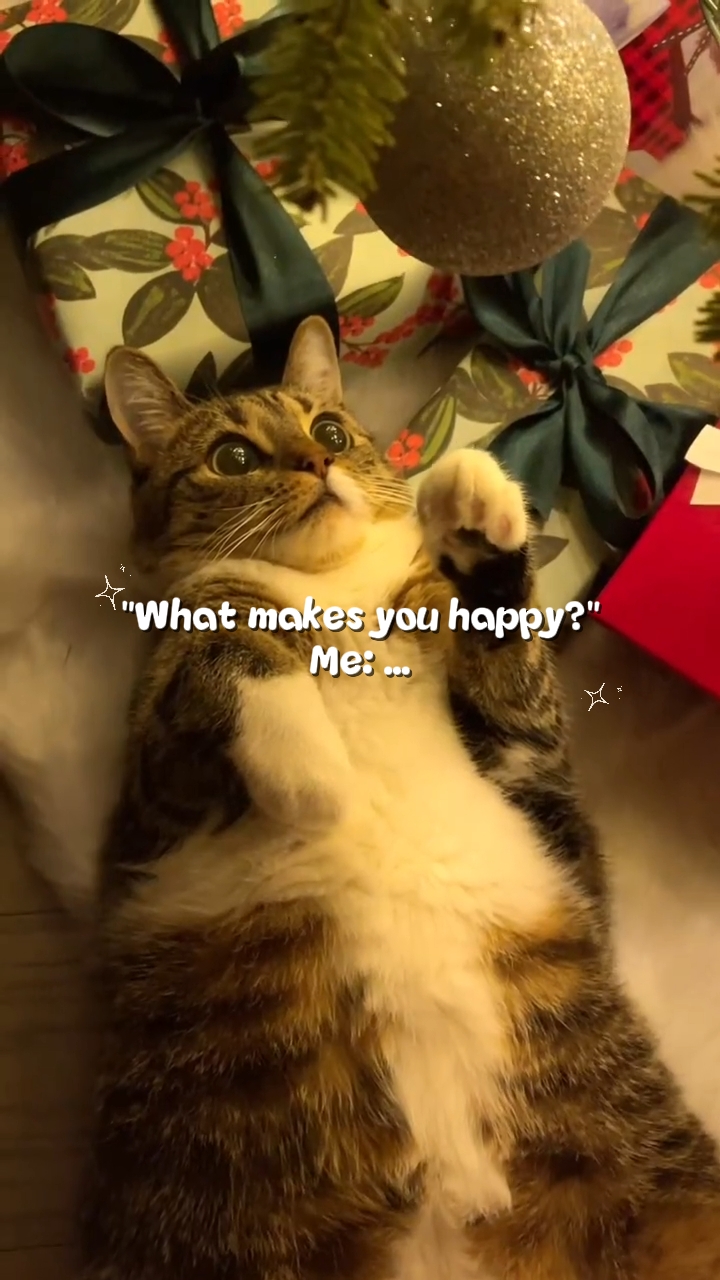 Feliz natal!