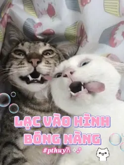 Lạc mất rìuu..😠💗