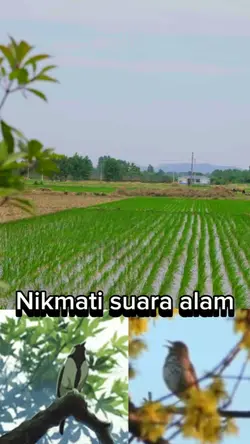 Husen badri