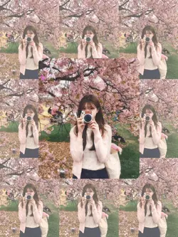 桜