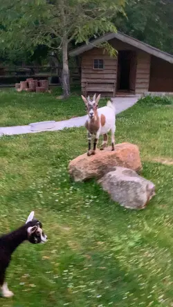 She is a fairy ✨🧚🏼‍♂️