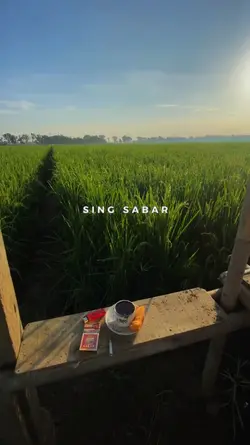 Ngopi sing pait