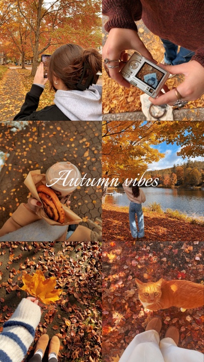 Autumn vibes