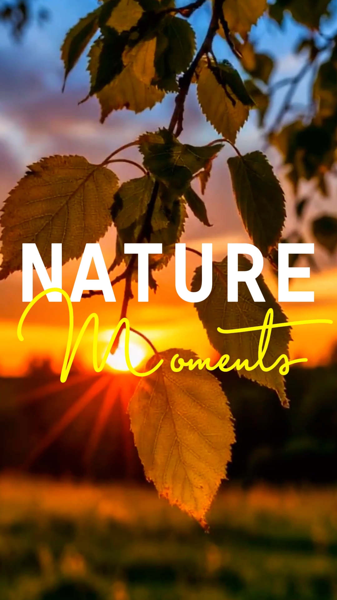 Nature moments 