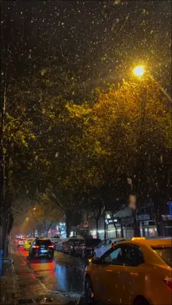 Yeni Şablon 