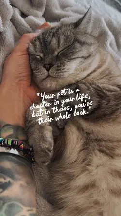Pet Moments ๐โโฌ๐พ