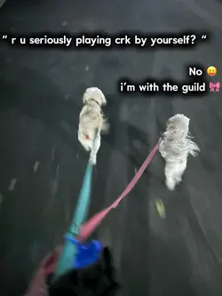 💥💥