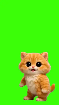 Gato/Cat.