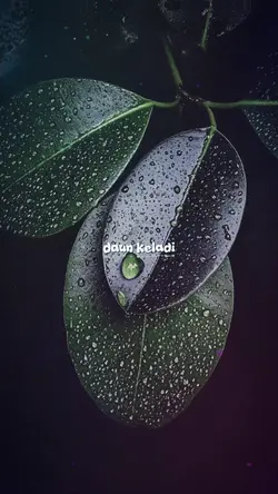 disuatu masa