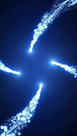 vortex portrait ²⁸