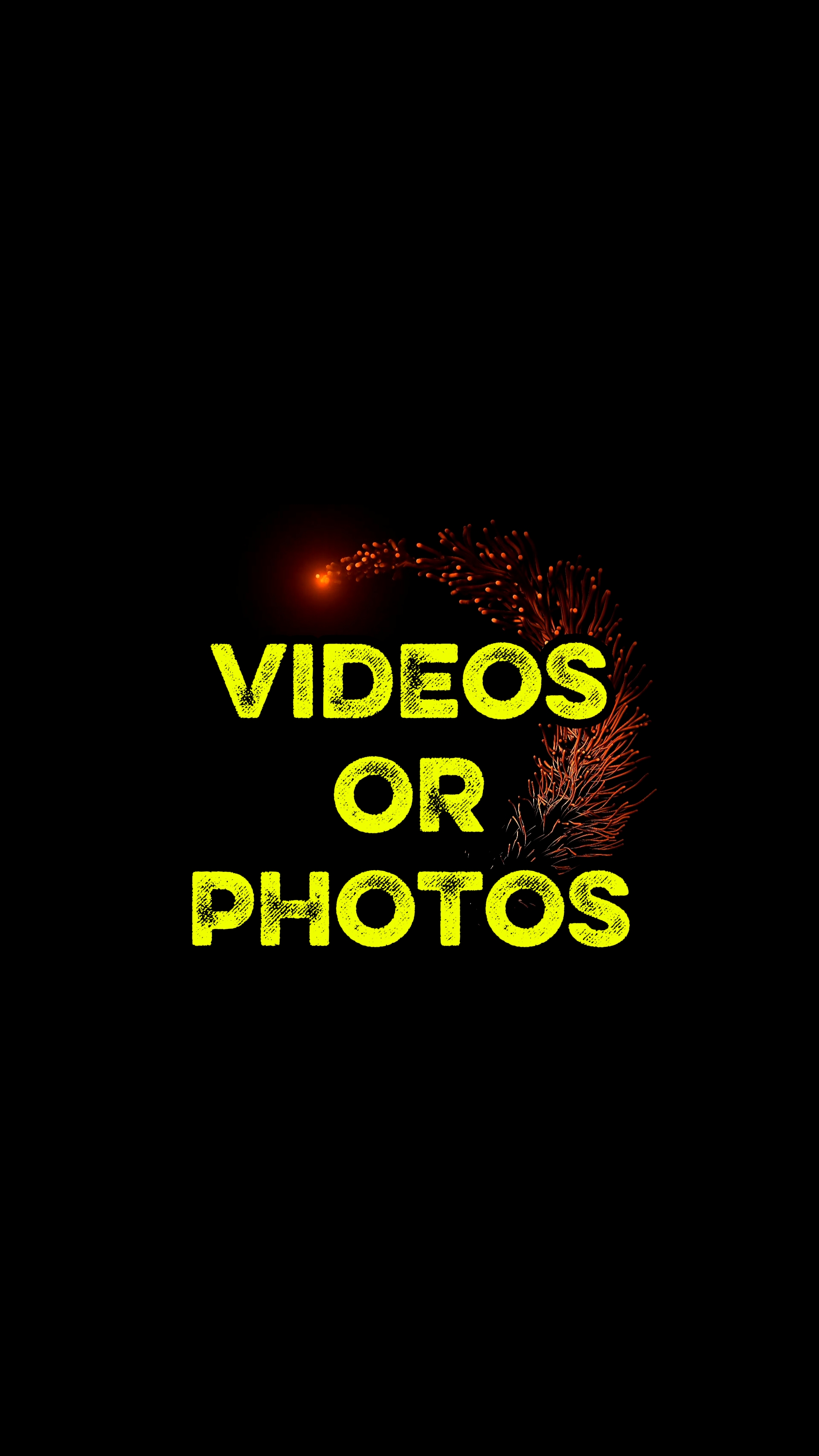 6 VIDEOS