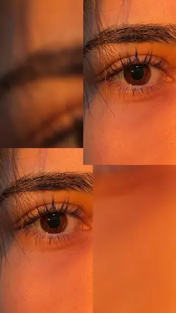 Yeni şablon