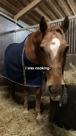 Got a lil crispy 🖤