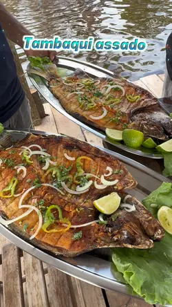Comida típica
