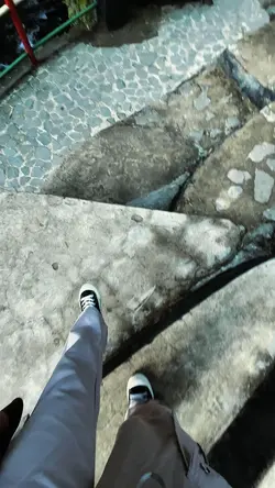 Mawar yang menari