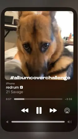 Album Cover Chllenge