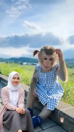 monyet lucu