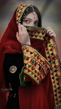 Pashto trend templat