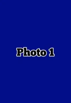 16 photos 