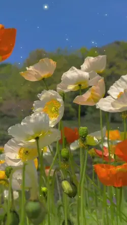 เพียงแค่นี้