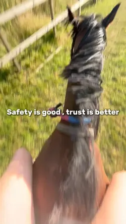 Safety