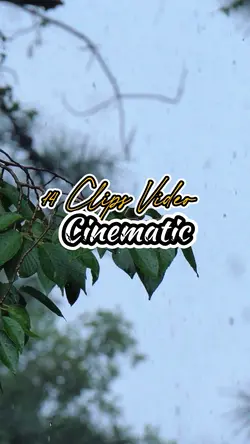 14 Clips Vidwo