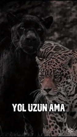 Yol Uzun Ama