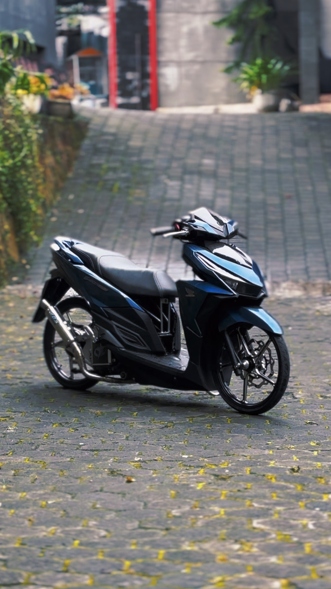 Cover Picture