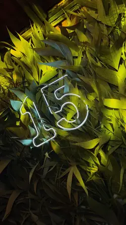Decor 15 anos