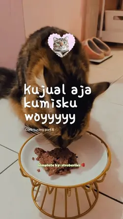 Jual kumisku woyy🥳