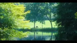in my dreams