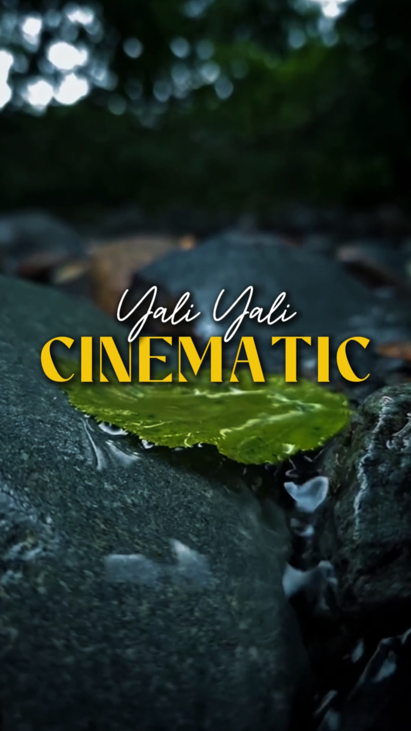 CINEMATIC 12 VIDEOS