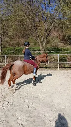 reitenn