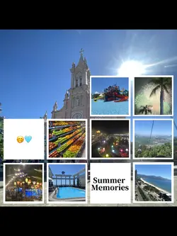 夏の思い出🍉ワタリドリ